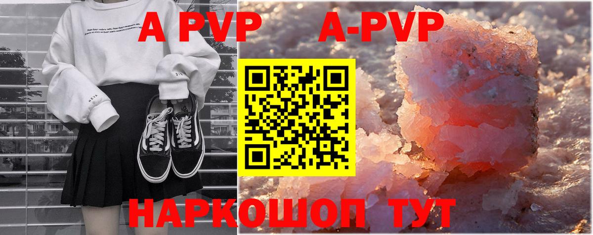 Alfa_PVP СК Дубна
