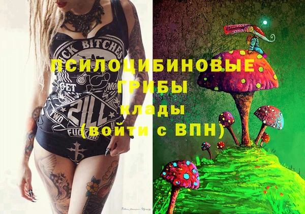 мдпв Дмитров