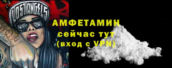 мдпв Дмитров