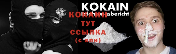 мдпв Дмитров