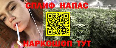 ПСИЛОЦИБИНОВЫЕ ГРИБЫ Бийск