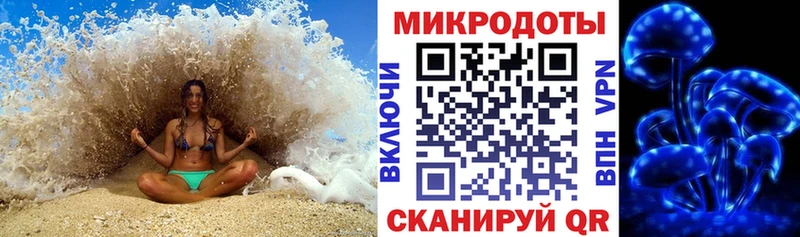 купить наркотик  Дубна  Галлюциногенные грибы Cubensis 