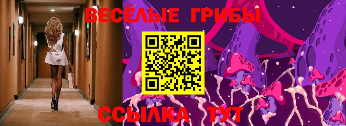 Псилоцибиновые грибы GOLDEN TEACHER  Вход с VPN  Дубна 